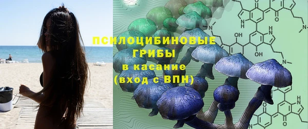 эйфоретик Беломорск