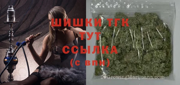 эйфоретик Беломорск