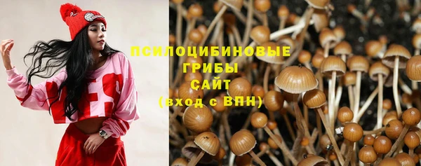 эйфоретик Беломорск