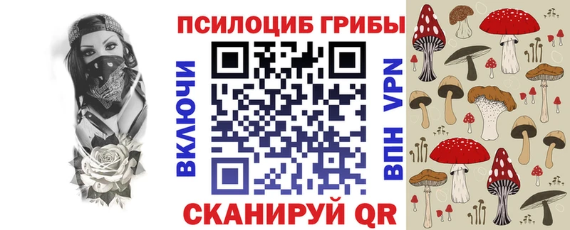 Псилоцибиновые грибы Cubensis  Купить закладки  Верхотурье 